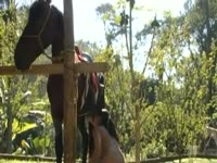 Chick sharpens her sucking skills on horse's long bulge 